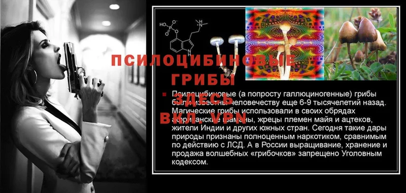 Псилоцибиновые грибы MAGIC MUSHROOMS  купить наркоту  Зубцов 